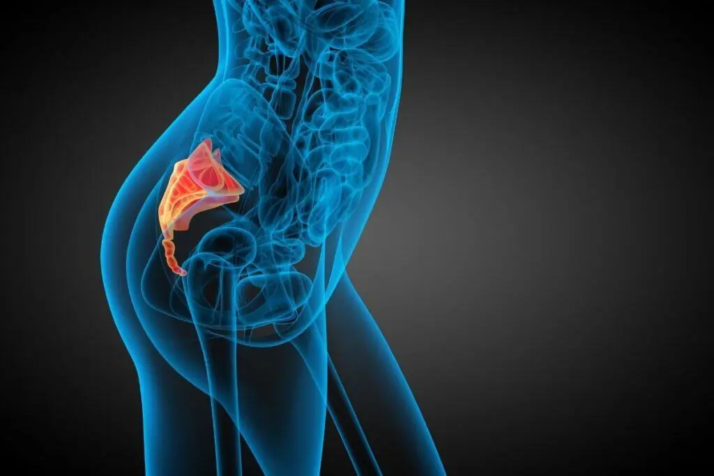 Trattamento osteopatico per coccigodinia e dolore al coccige